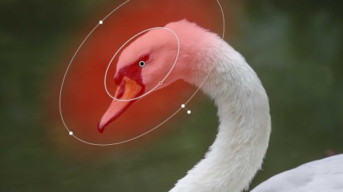 Lightroom Masking Master Class