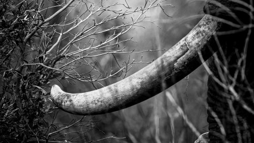 Convering to Mono/BW Master Class