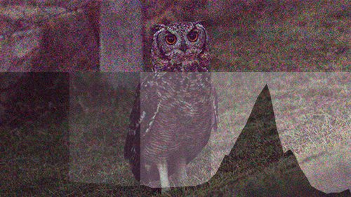 Histograms & Noise Master Class