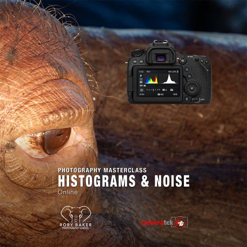 Histograms & Noise Master Class