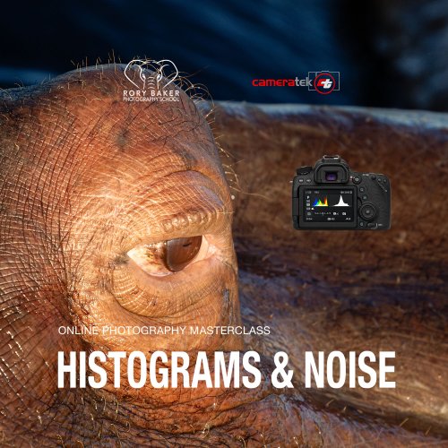 Histograms &amp; Noise