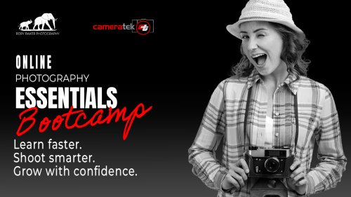 Essentials Boot Camp