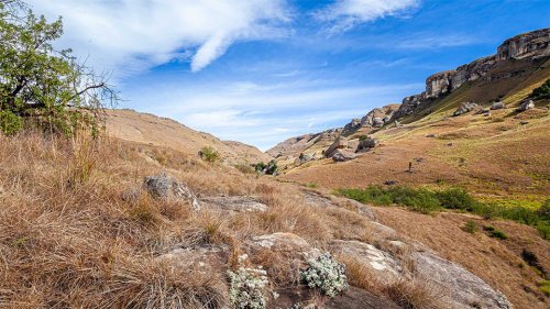 Introduction to Photography - Option 1