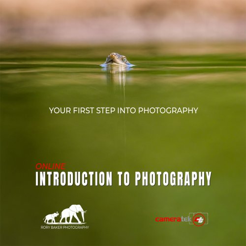 Introduction to Photography Workshop
