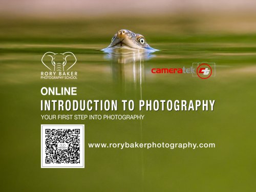 Introduction to Photography Workshop