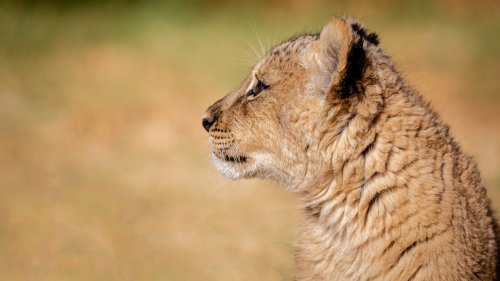 Introduction to Photography - Option 2