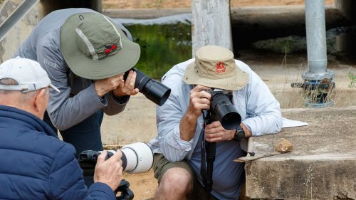 Macro &amp; Closeup Workshop - Durban